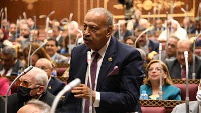 النائب هاني العسال: احتفالية يوم الشهيد تجسيد لبطولات أبنائنا وتخليد لتضحياتهم الغالية