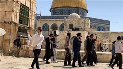 مستوطنون يقتحمون المسجد الأقصى المبارك بحماية شرطة الاحتلال الإسرائيلي
