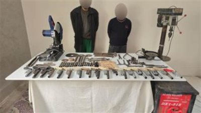 سقوط إجراميين بأسلحة نارية وذخائر بالدقهلية 