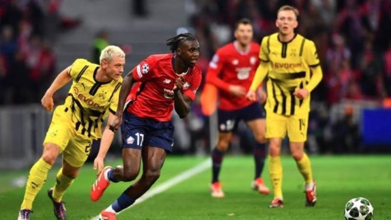 بوابة روز اليوسف