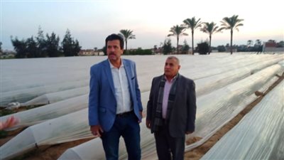 محافظة الإسماعيلية تسترد قطع أرض زراعية بمساحة إجمالية ٩٢ فدانا 