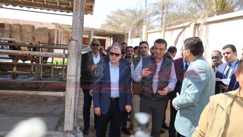 الجولة التفقدية