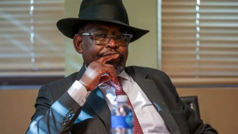 وزير مالية جنوب أفريقيا