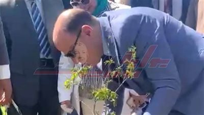 محافظ كفر الشيخ يغرس أول شجرة بالحرم الجامعي بالأسبوع البيئي