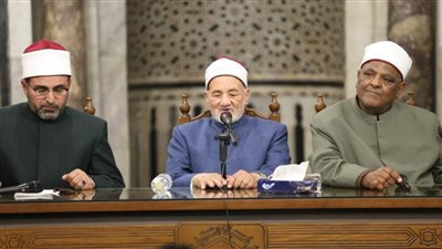 الدكتور حسن الشافعي: العلم والمعرفة من أهم أسس تكوين الوعي لدى الإنسان