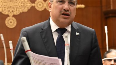 برلمانية الشعب الجمهوري بالشيوخ تطالب بزيادة تمويل ملفات الحماية الاجتماعية ومراجعة المستحقين