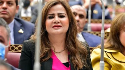 النائبة أمل رمزي: إسرائيل تشعل نيران الفتنة والفوضى وتهدد السلام الدولي