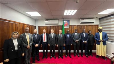 وزير الخارجية: يشيد بحركة التجارة والاستثمار بين مصر وتنزانيا 