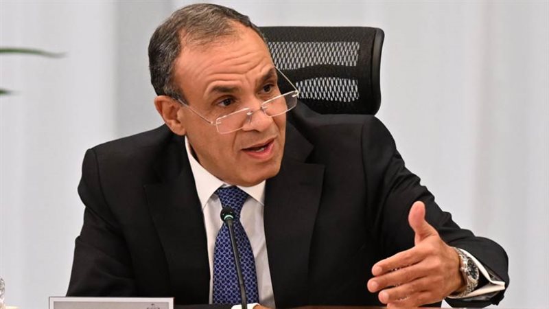 الدكتور بدر عبد العاطي