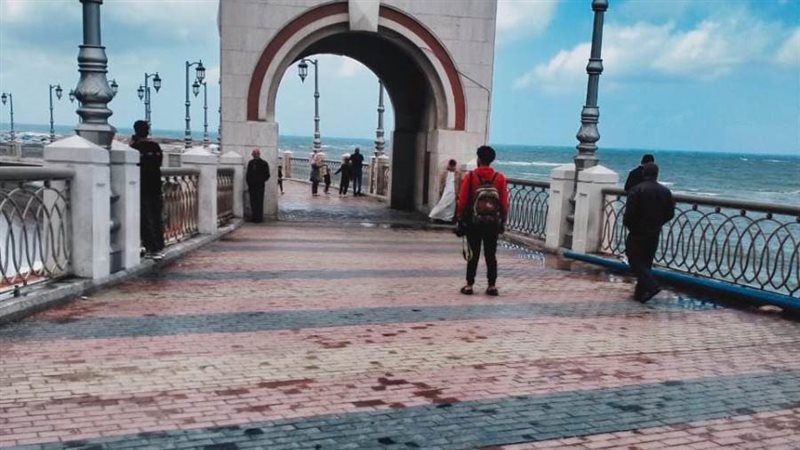 موجه من السقيع وتساقط