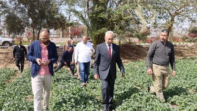 رئيس جامعة المنيا يتفقد المنتجات والمحاصيل الزراعية بمشروع الصوب