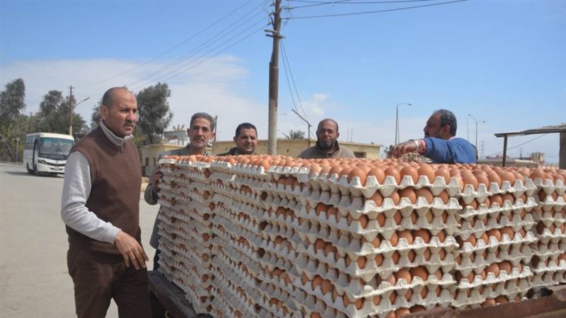 انتاج محطة السادات