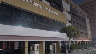 القليوبية تشارك 