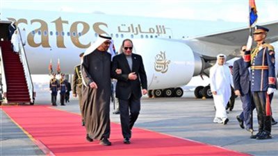الرئيس السيسي: سعدت باستقبال أخى الشيخ محمد بن زايد في بلده الثاني مصر