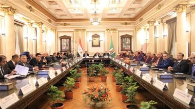 رئيس جامعة كفر الشيخ يشارك اجتماع المجلس الأعلى للجامعات