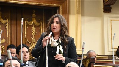 نائبة التنسيقية أميرة العادلي ترصد جهود تنسيقية شباب الأحزاب في مشروع قانون المسؤولية الطبية