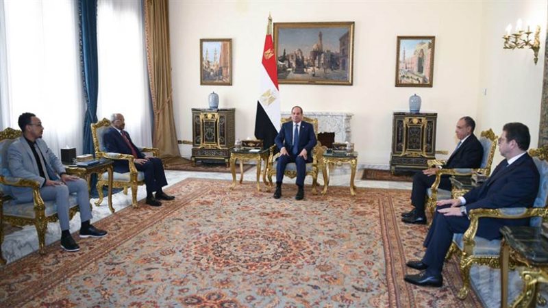 الرئيس عبد الفتاح