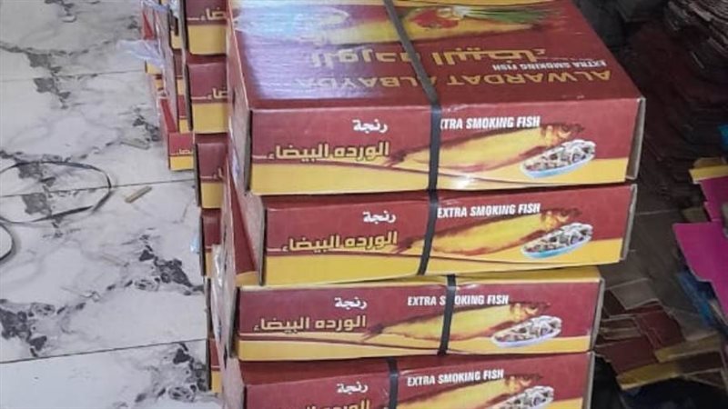 جانب من الرنجة المضبوطة