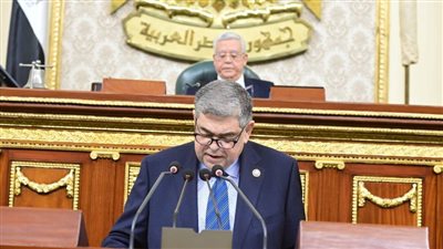 نائب رئيس حزب مستقبل وطن يقترح مادة جديدة تجرم الشكاوي والبلاغات الكيدية ضد مقدمي الخدمات الطبية 