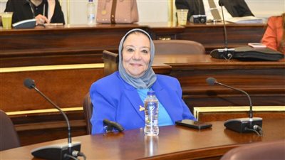 برلمانية: إسرائل تواصل انتهاكاتها بإنشاء هيئة للتهجير.. وموقف مصر لا يقبل التفاوض