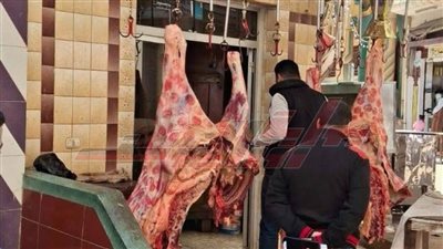 ضبط 250 كجم لحوم بلدية مذبوحة خارج المجزر وأسماك مملحة مجهولة المصدر