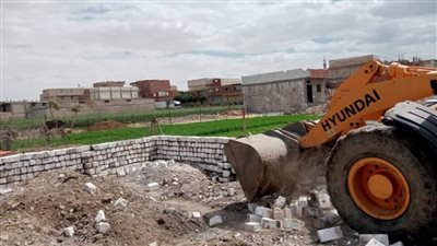 المنيا: إزالة 655 حالة تعدٍ ضمن الموجة 25 لإزالة التعديات على الأراضي الزراعية وأملاك الدولة 