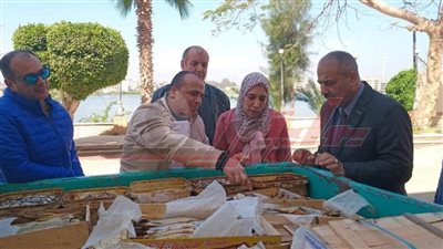 ضبط 310 كجم أسماك مملحة غير صالحة للاستهلاك الآدمي بكفر الشيخ