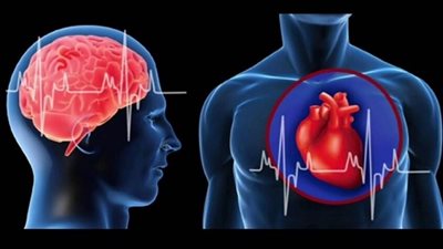 عاجل.. اكتشاف علاقة بين أمراض القلب والتغيرات الدماغية