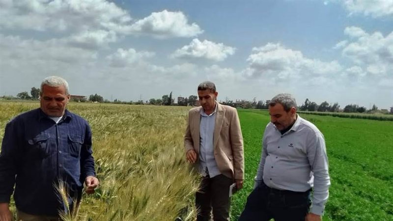 وكيل وزارة الزراعة