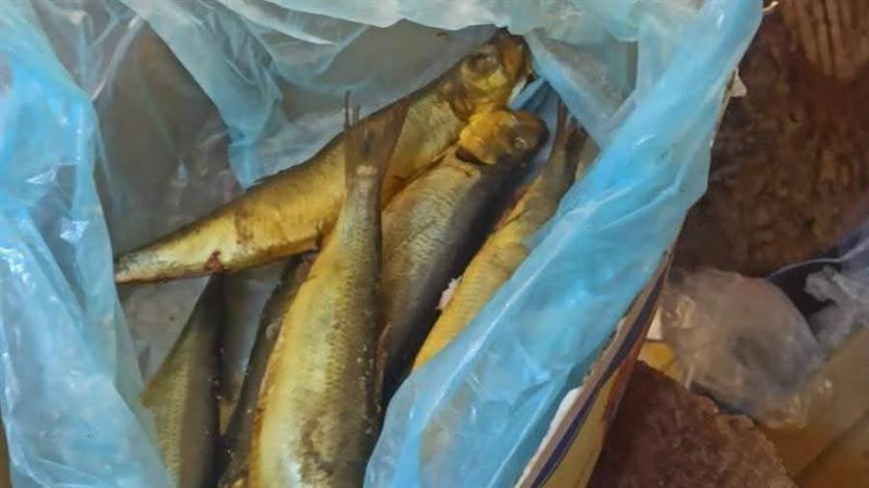 حملات تموينية متنوعة