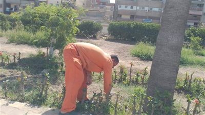  بالصور.. محافظة الغربية في عيد الفطر: حملات نظافة وتجميل وزراعة أشجار