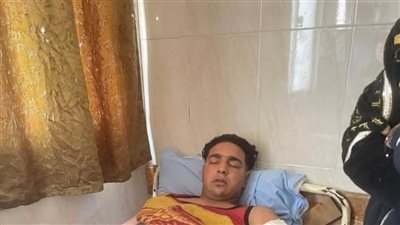 بالصور.. بتر ذراع مساعد مدربة الأسود أثناء أحد العروض بطنطا