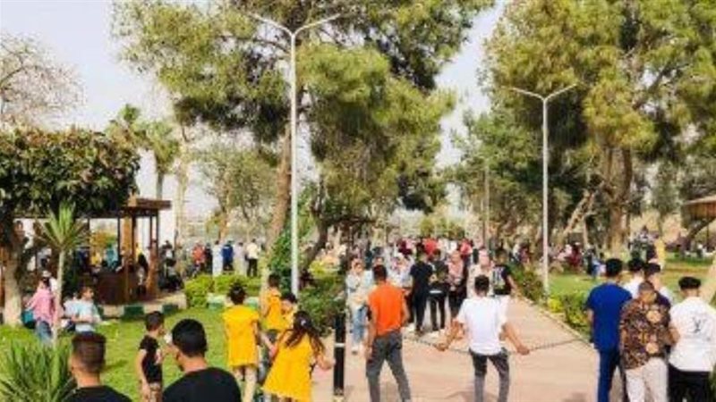 بوابة روز اليوسف