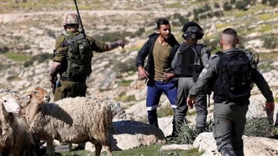 مستعمرون بحماية قوات الاحتلال يهاجمون رعاة الأغنام في برية المنية شرق بيت لحم