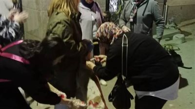 استجابة لشكاوى المواطنين.. حملة لتطعيم الكلاب ضد مرض السعار