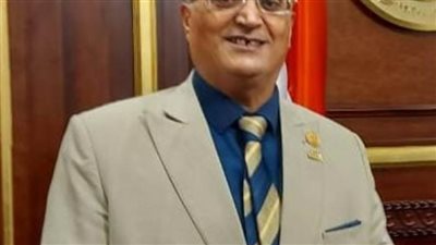 برلماني: مجزرة الاحتلال بمدينة رفح الفلسطينية استكمال لسيناريو الإبادة الجماعية