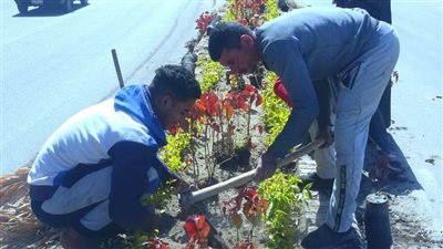  بالصور.. محافظ الغربية يتابع أعمال النظافة والتشجير بميدان المحطة فى حي أول طنطا