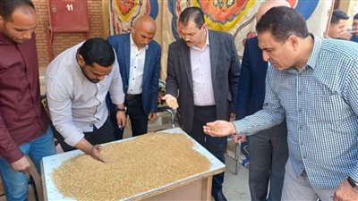 التموين : بدء موسم توريد القمح المحلي بمحافظة الفيوم 