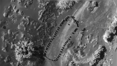 عاجل.. الرئيس الأمريكي ينشر فيديو لإستهداف القوات الحوثية