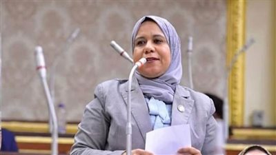 رئيس مجلس النواب ينعى النائبة رقية الهلالي