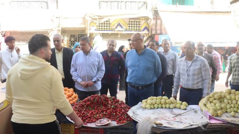 محافظ القليوبية يتابع