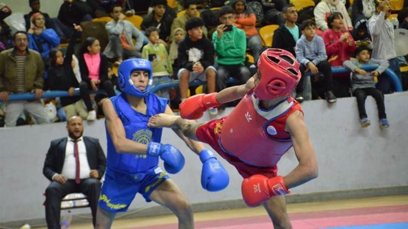 بوابة روز اليوسف