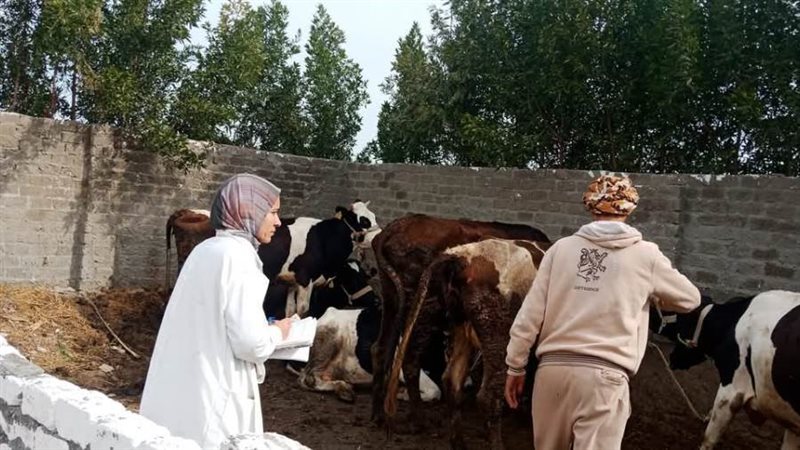 تحصين الماشية