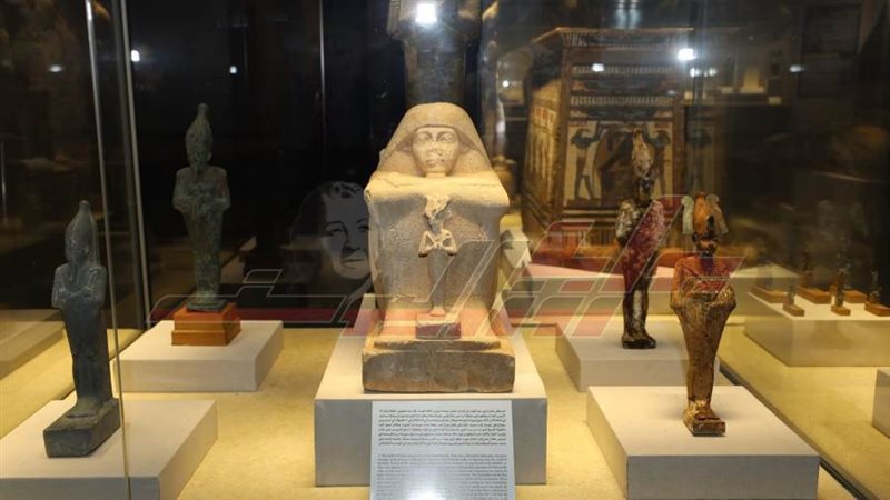 متحف آثار كفرالشيخ