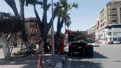 استعدادًا للاحتفال بأعياد الربيع الإسماعيلية ترفع كفاءة المسطحات الخضراء