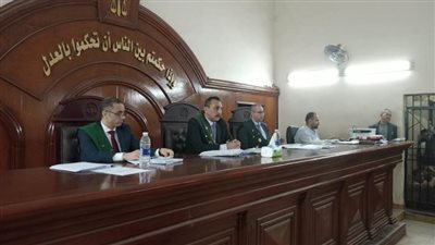 جنايات دمنهور.. السجن 7 سنوات لعاطل قتل شاب رفض توصيله