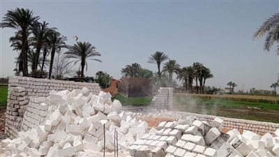 الموجة 25.. إزالة 88 حالة تعدٍ على الأراضي الزراعية وأراضي أملاك الدولة بالمنيا