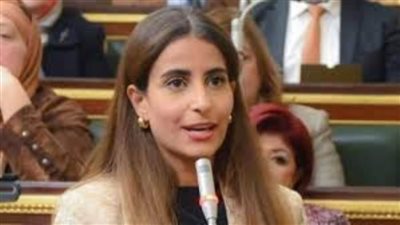 خارجية النواب: القمة الثلاثية بالقاهرة تؤكد ضرورة وقف الحرب في غزة ورفض التهجير