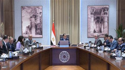 رئيس الوزراء يتابع موقف مشروعات إنتاج الهيدروجين الأخضر