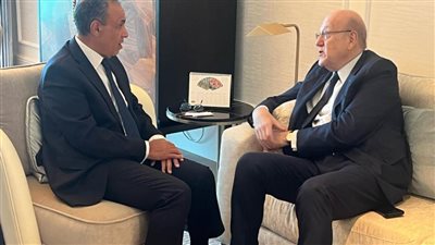 وزير الخارجية يشدد على ضرورة انسحاب إسرائيل من النقاط الخمس في لبنان